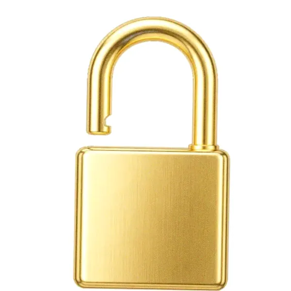Padlock — Love